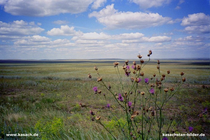 Kasachstan Natur